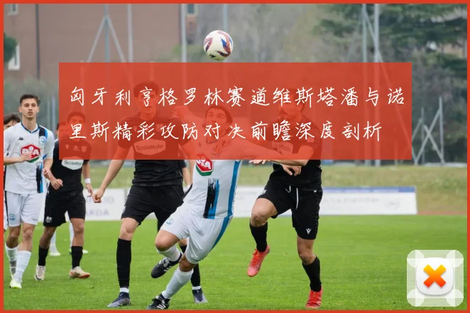 匈牙利亨格罗林赛道维斯塔潘与诺里斯精彩攻防对决前瞻深度剖析