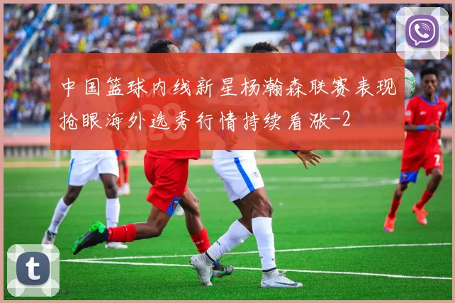 中国篮球内线新星杨瀚森联赛表现抢眼海外选秀行情持续看涨